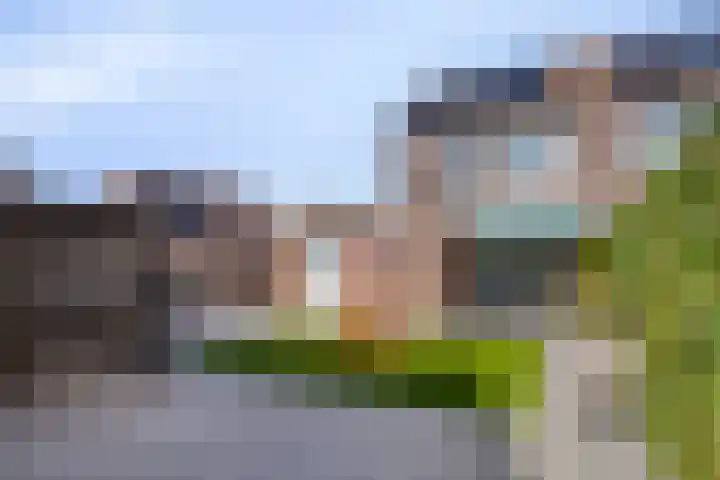 Anthonie Van Dyckstraat 28 Axel thumbnail 4