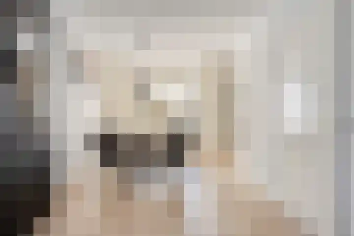 Anthonie Van Dyckstraat 28 Axel thumbnail 7
