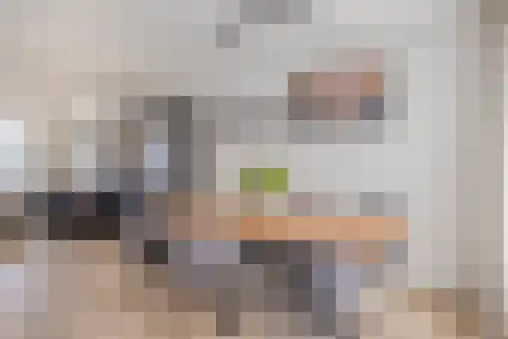 Anthonie Van Dyckstraat 28 Axel thumbnail 9