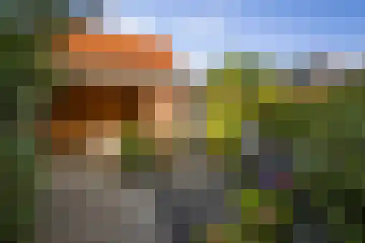 Anthonie van Dyckstraat 32 Deventer thumbnail 15