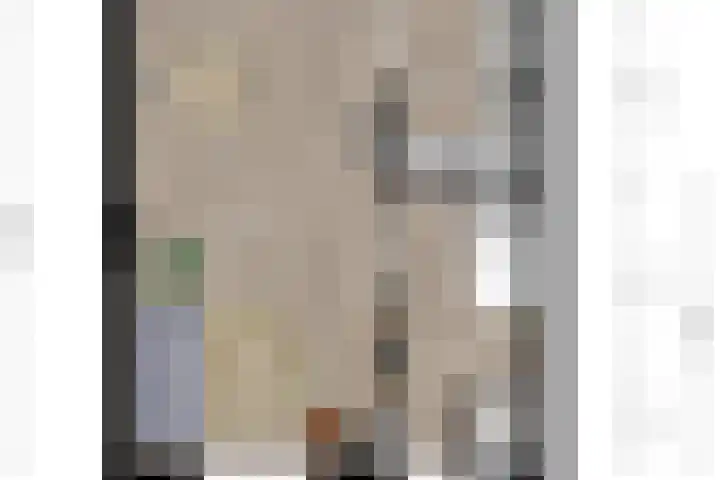Anthonie van Dyckstraat 39 Deventer thumbnail 39
