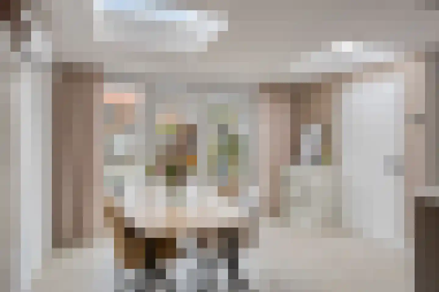 Anthonie van Dyckstraat 9 Deventer thumbnail 12