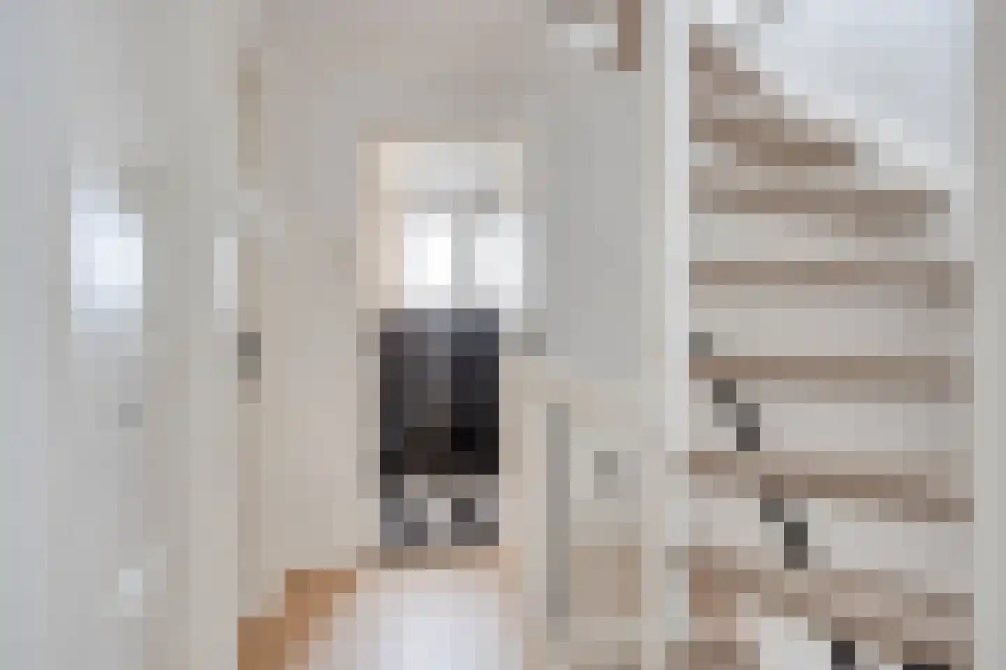 Anthonie van Dyckstraat 9 Deventer thumbnail 15