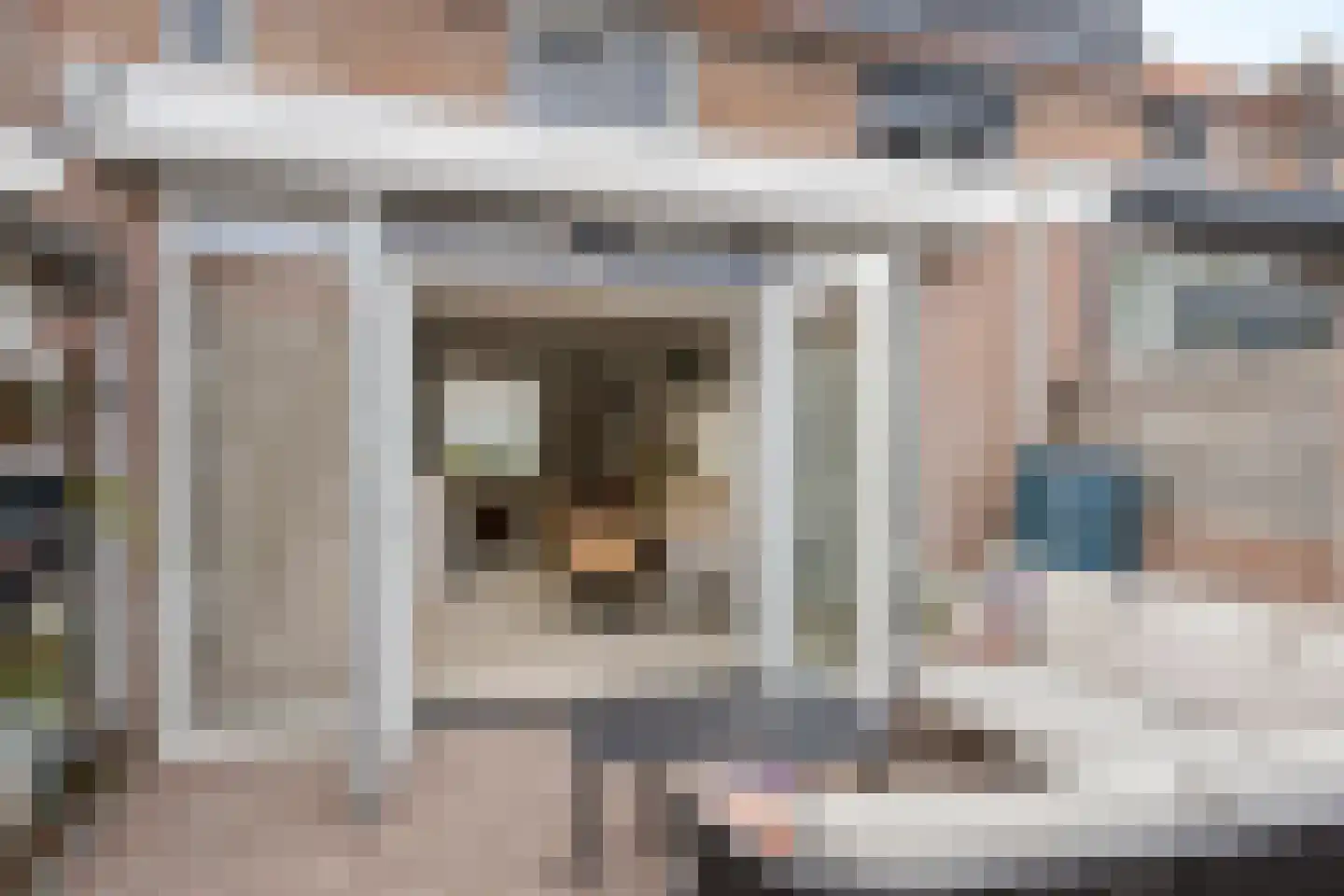 Anthonie van Dyckstraat 9 Deventer thumbnail 25