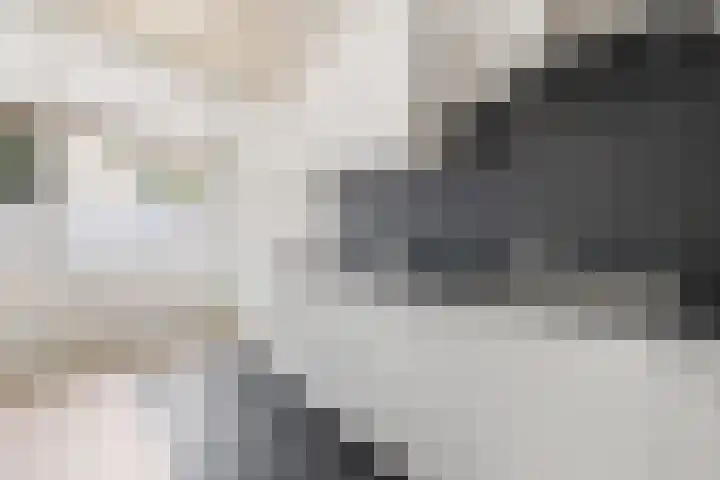 Anthoniedijk 1 B Utrecht thumbnail 10