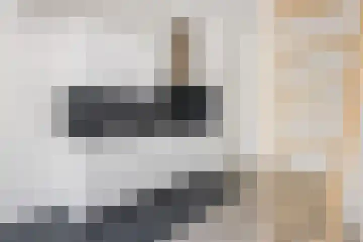 Anthoniedijk 1 B Utrecht thumbnail 11