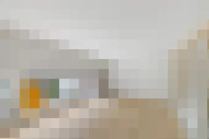 Anthoniedijk 1 B Utrecht thumbnail 14
