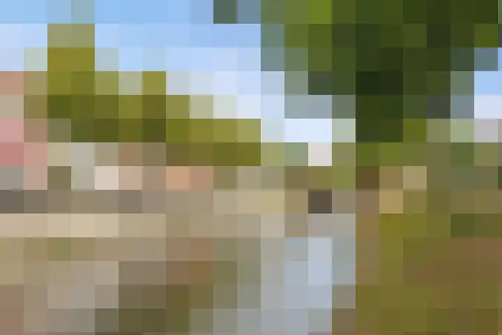 Anthoniedijk 1 B Utrecht thumbnail 20