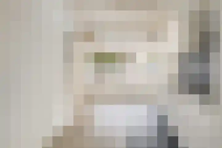 Anthoniedijk 1 B Utrecht thumbnail 8