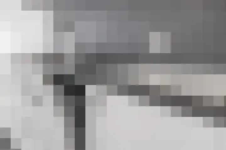 Anthoniedijk 1 B Utrecht thumbnail 9