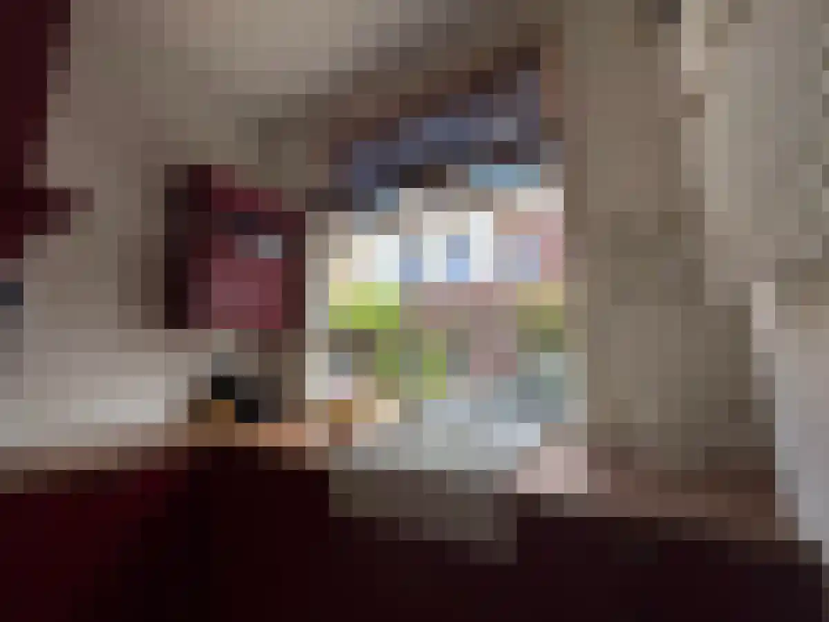 Anthoniedijk 10 Utrecht thumbnail 5
