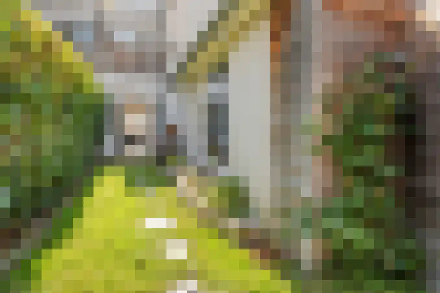 Anthoniedijk 13 Utrecht thumbnail 17