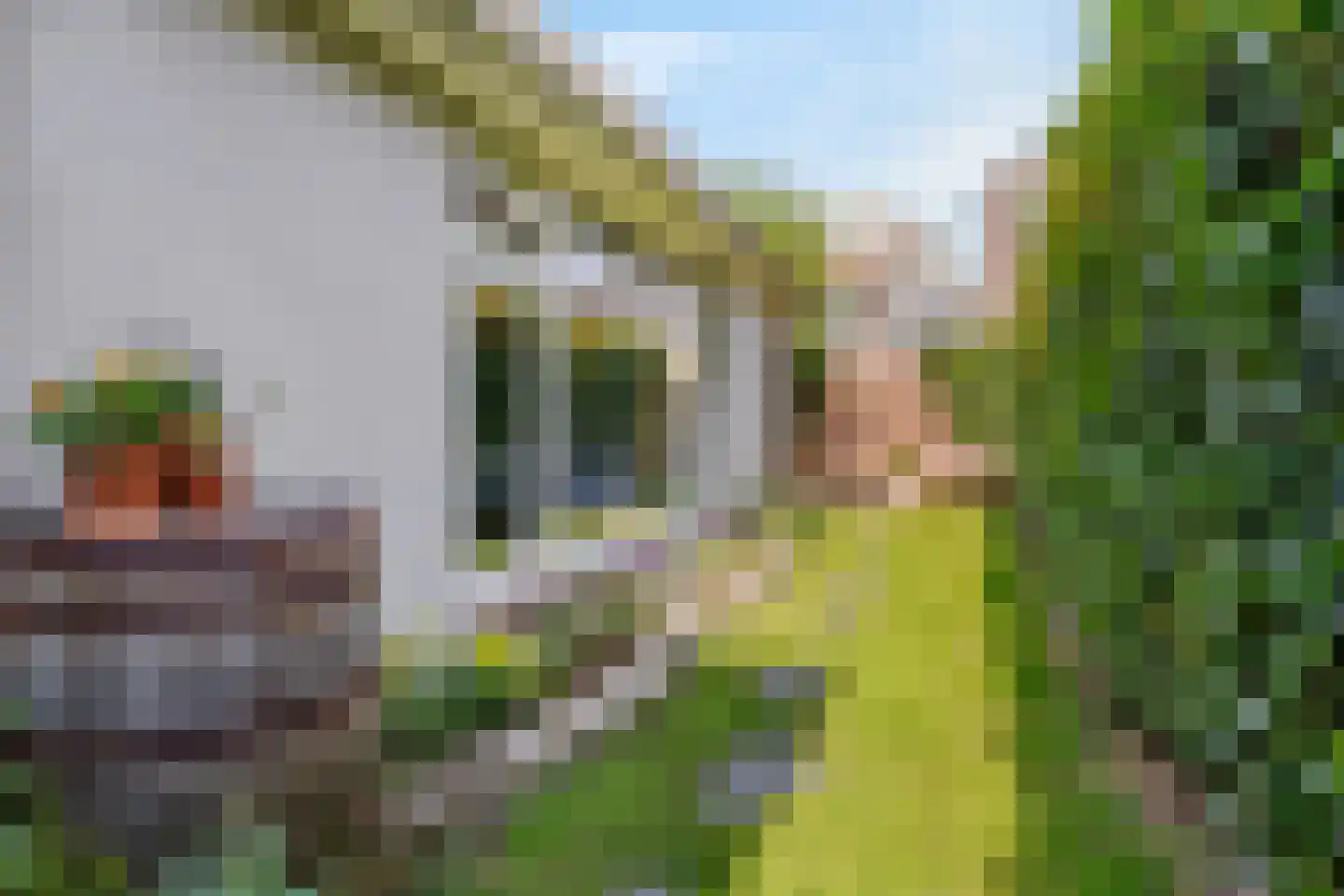 Anthoniedijk 13 Utrecht thumbnail 18