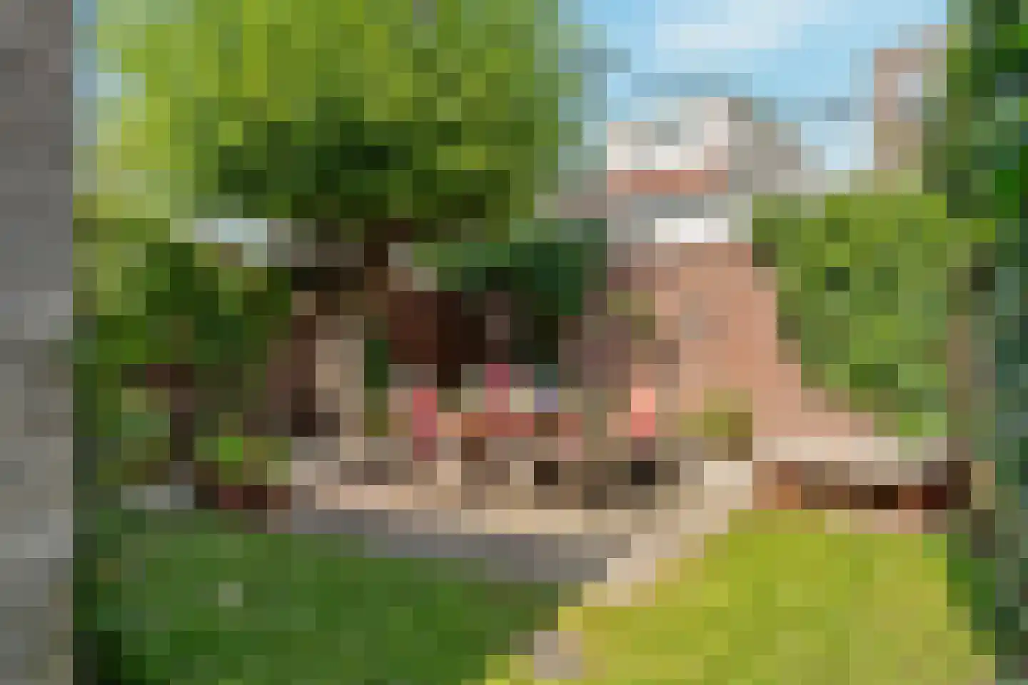 Anthoniedijk 13 Utrecht thumbnail 19