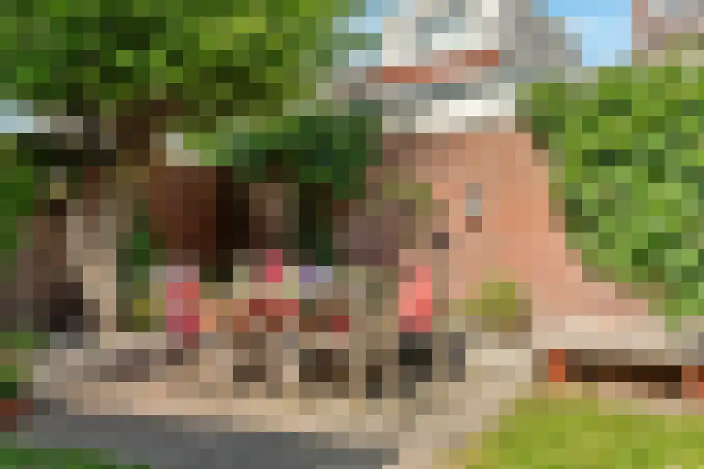 Anthoniedijk 13 Utrecht thumbnail 20
