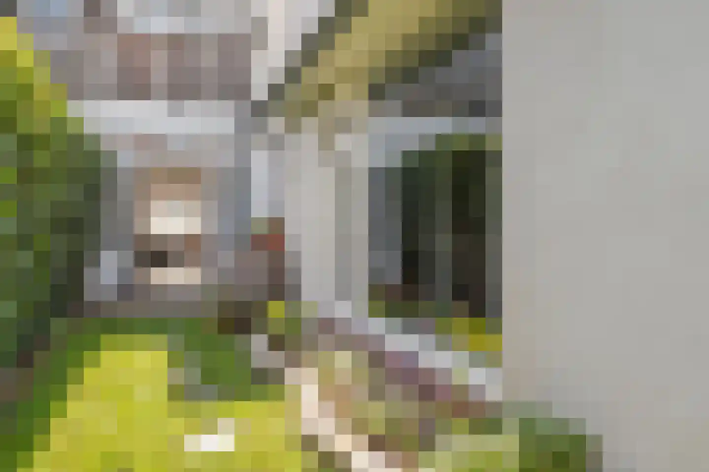 Anthoniedijk 13 Utrecht thumbnail 23