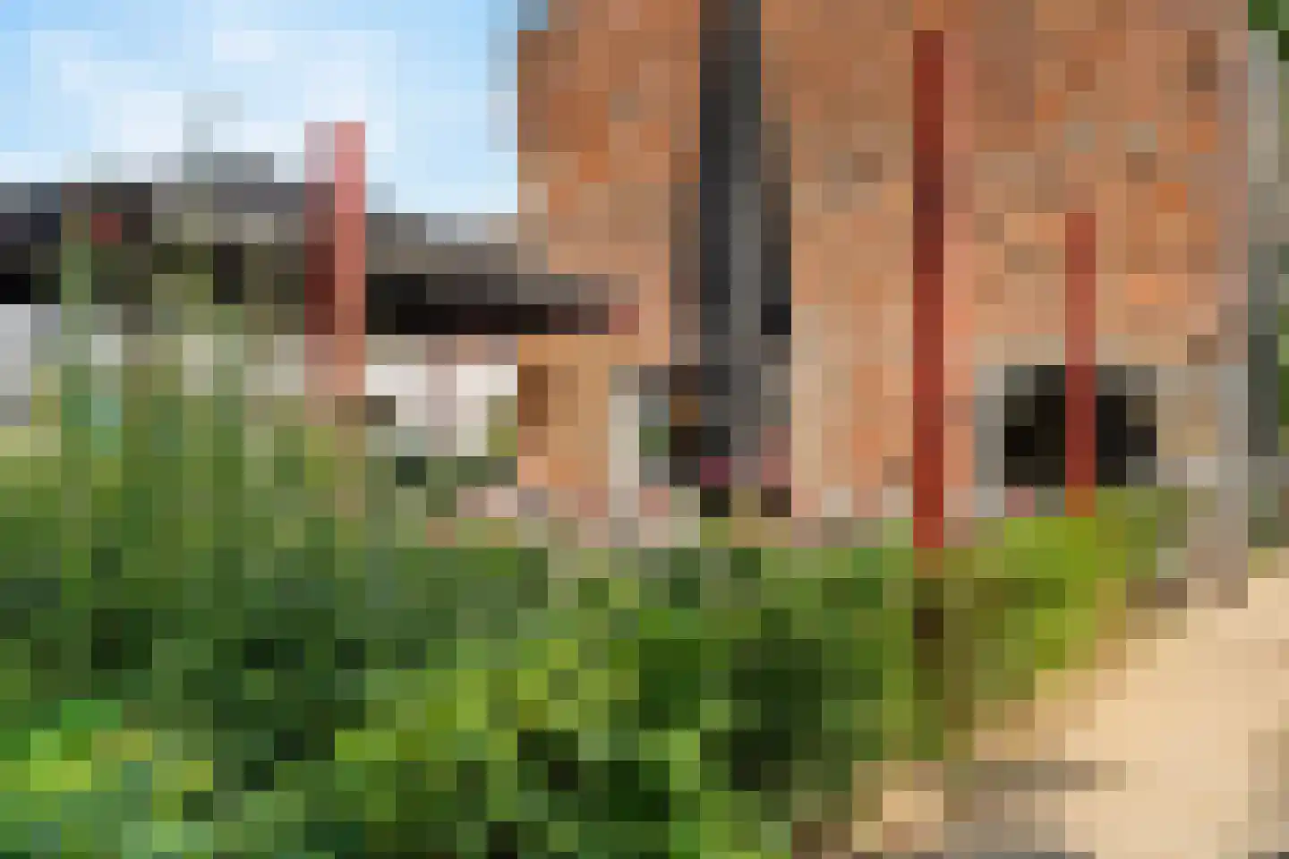 Anthoniedijk 13 Utrecht thumbnail 38