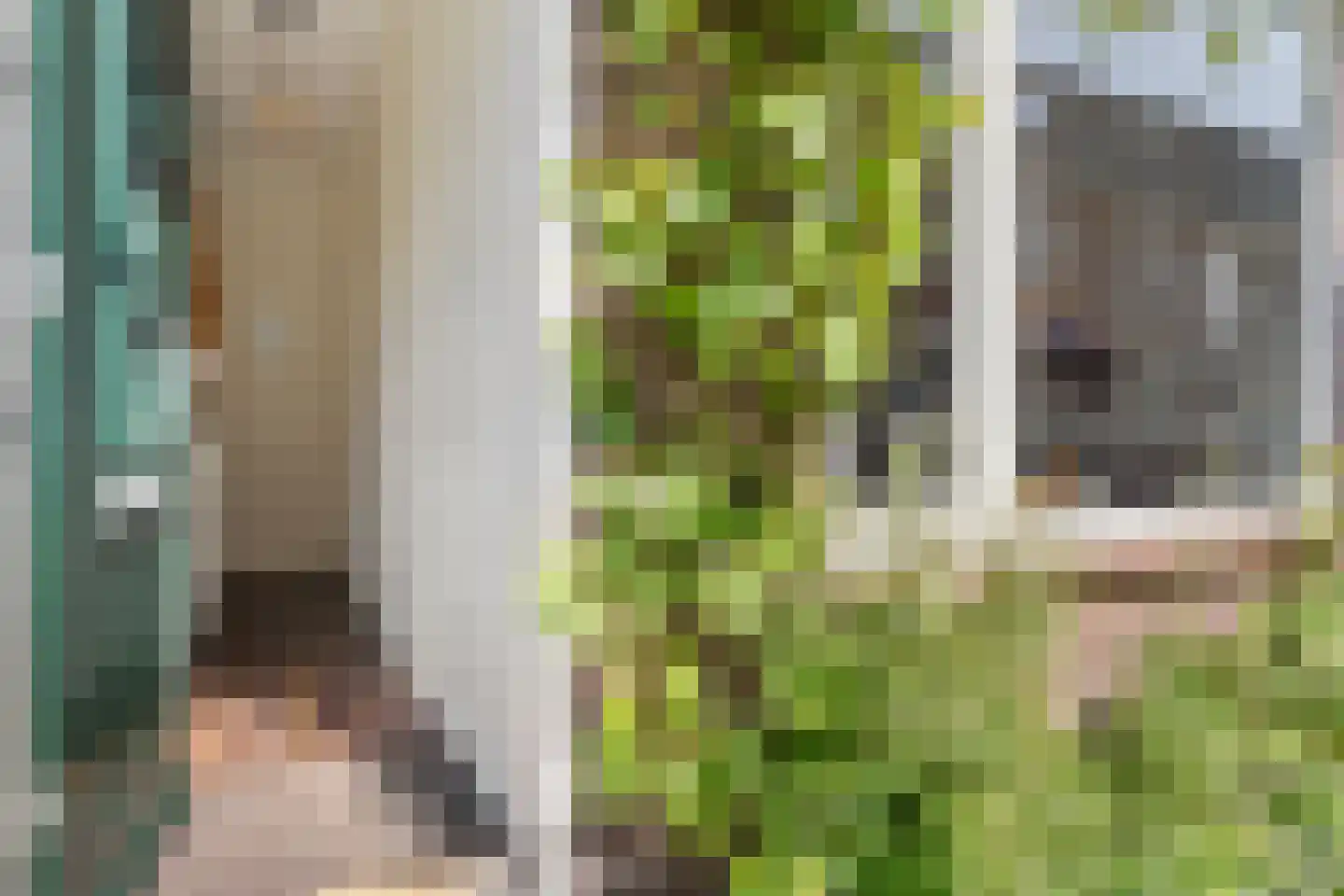 Anthoniedijk 13 Utrecht thumbnail 7