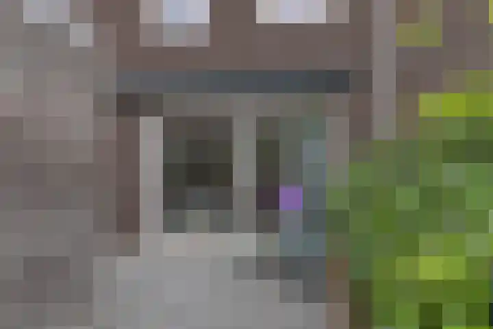 Anthoniedijk 30 Utrecht thumbnail 11