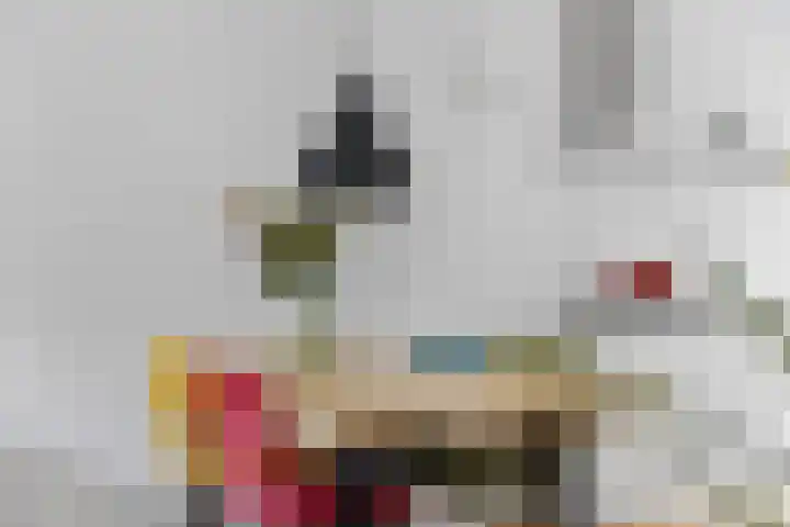 Anthoniedijk 30 Utrecht thumbnail 18