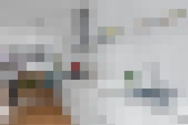 Anthoniedijk 30 Utrecht thumbnail 20