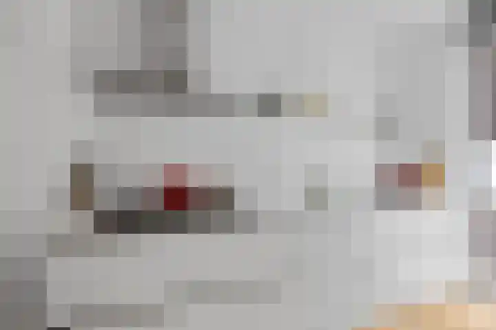 Anthoniedijk 30 Utrecht thumbnail 23
