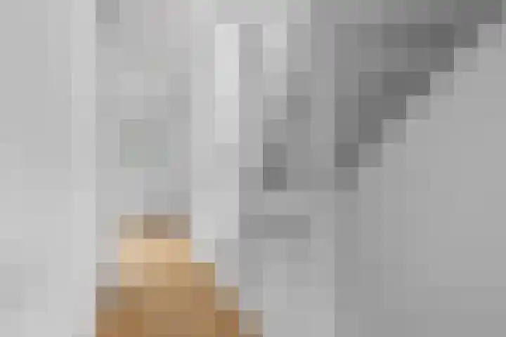 Anthoniedijk 30 Utrecht thumbnail 27