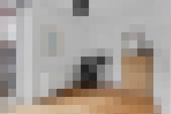 Anthoniedijk 30 Utrecht thumbnail 35