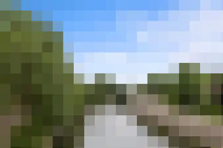 Anthoniedijk 30 Utrecht thumbnail 54