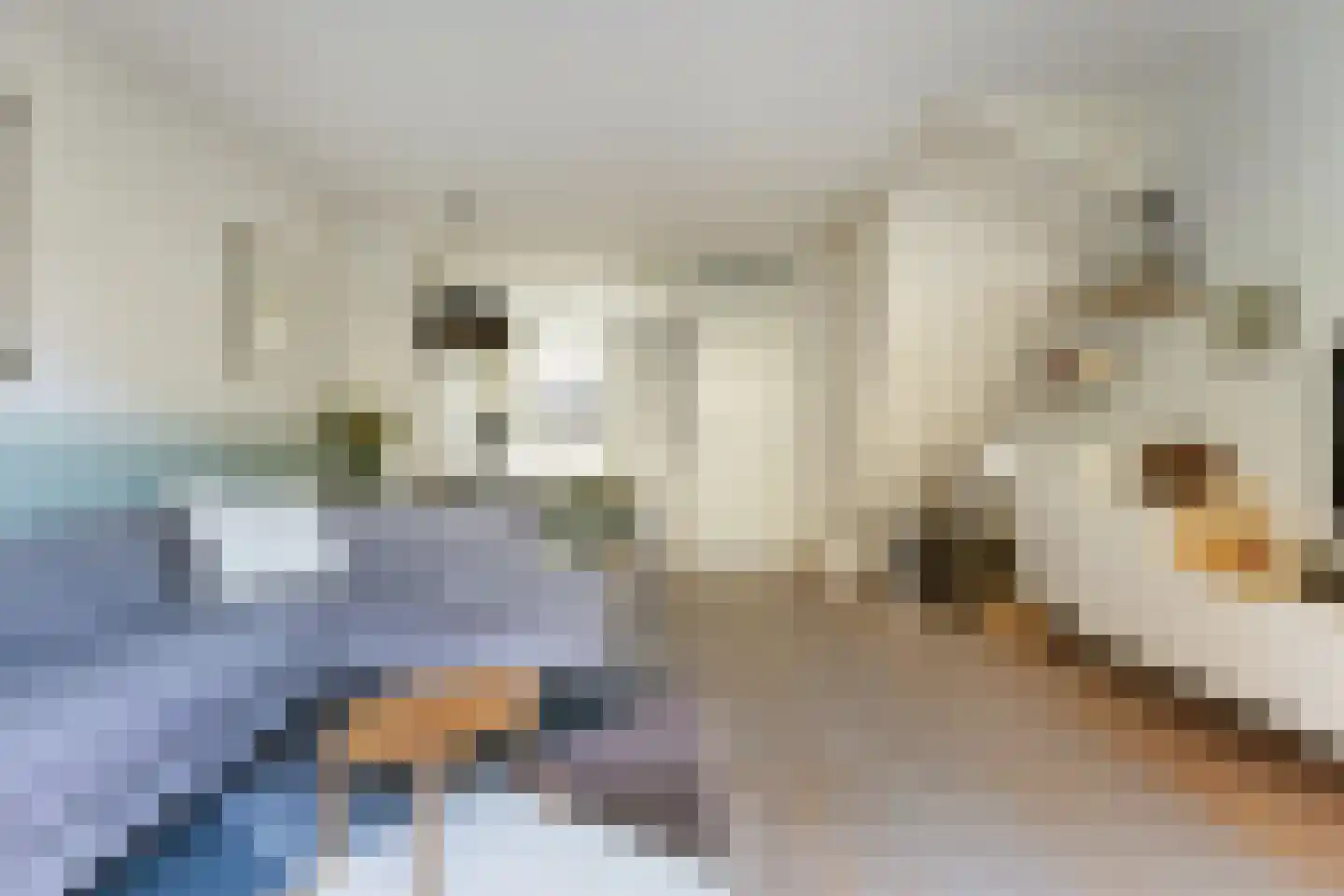 Anthoniedijk 34 Utrecht thumbnail 12