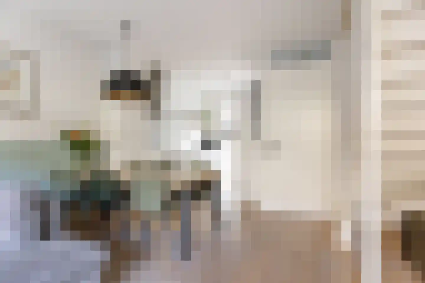 Anthoniedijk 34 Utrecht thumbnail 15
