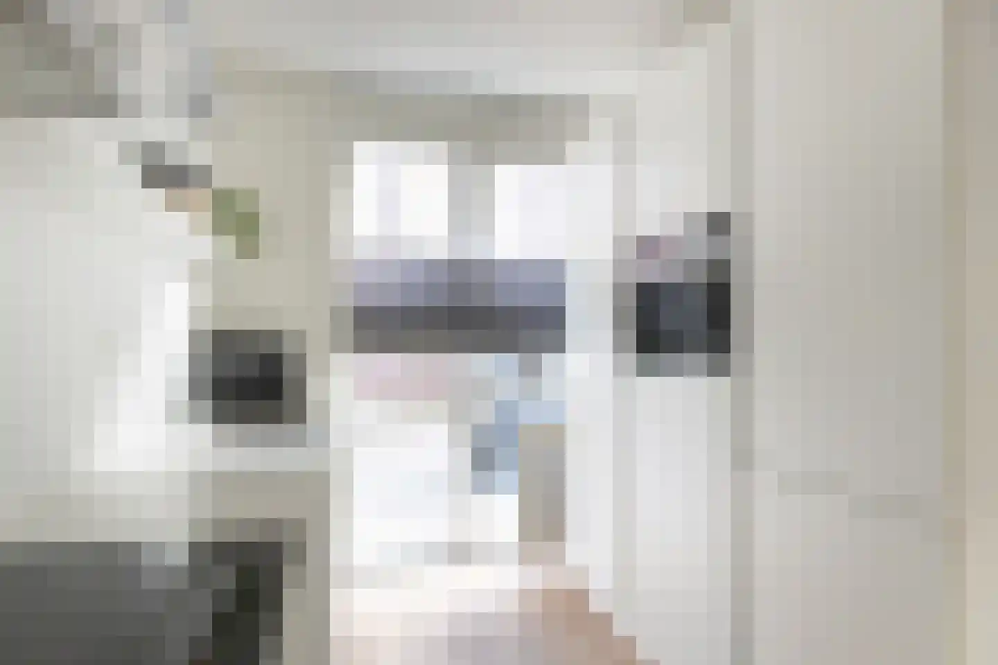 Anthoniedijk 34 Utrecht thumbnail 17
