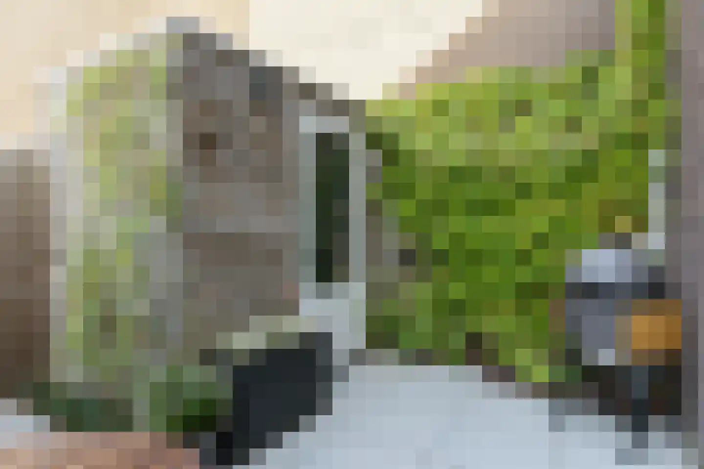 Anthoniedijk 34 Utrecht thumbnail 23