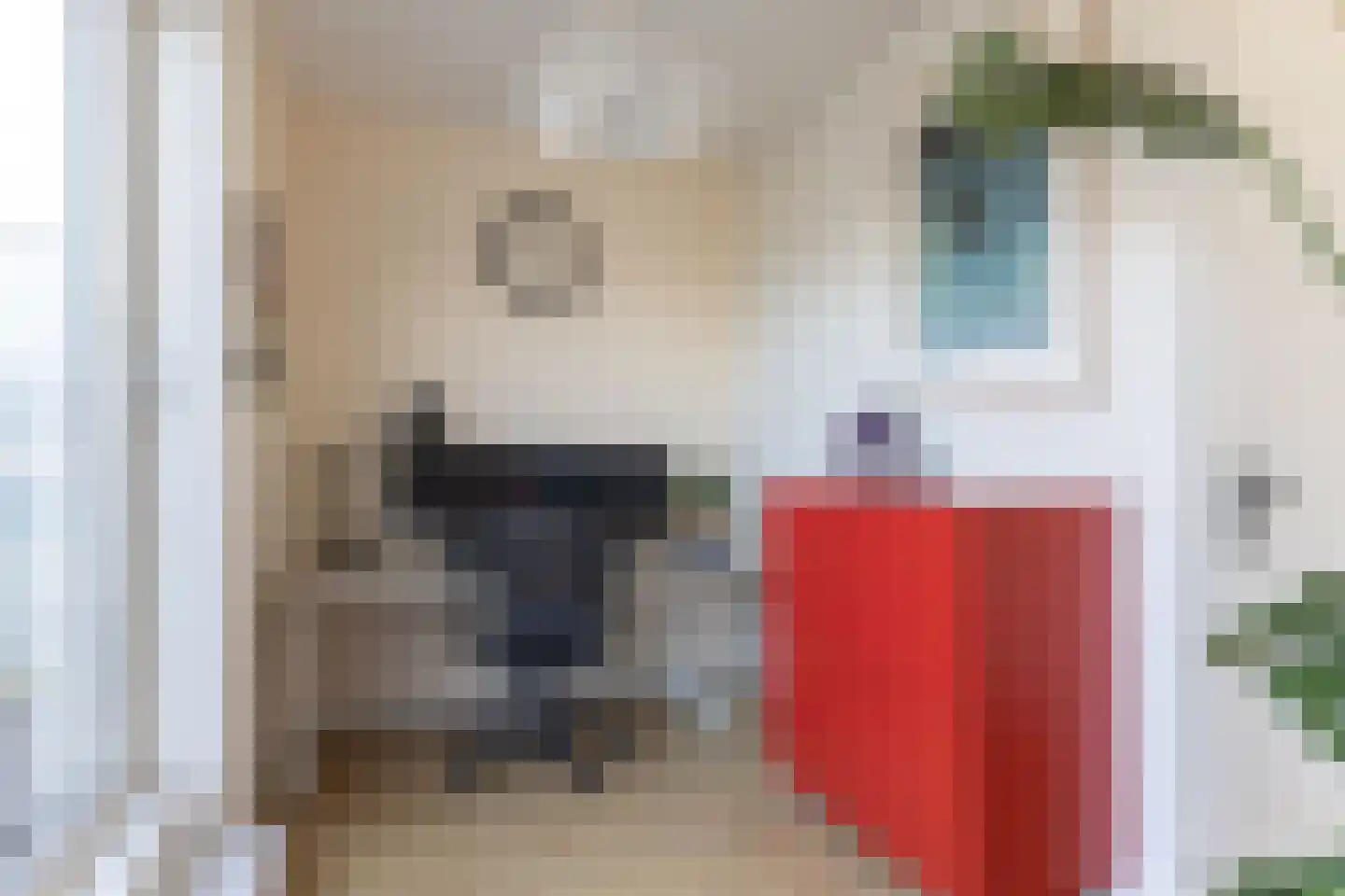 Anthoniedijk 34 Utrecht thumbnail 38