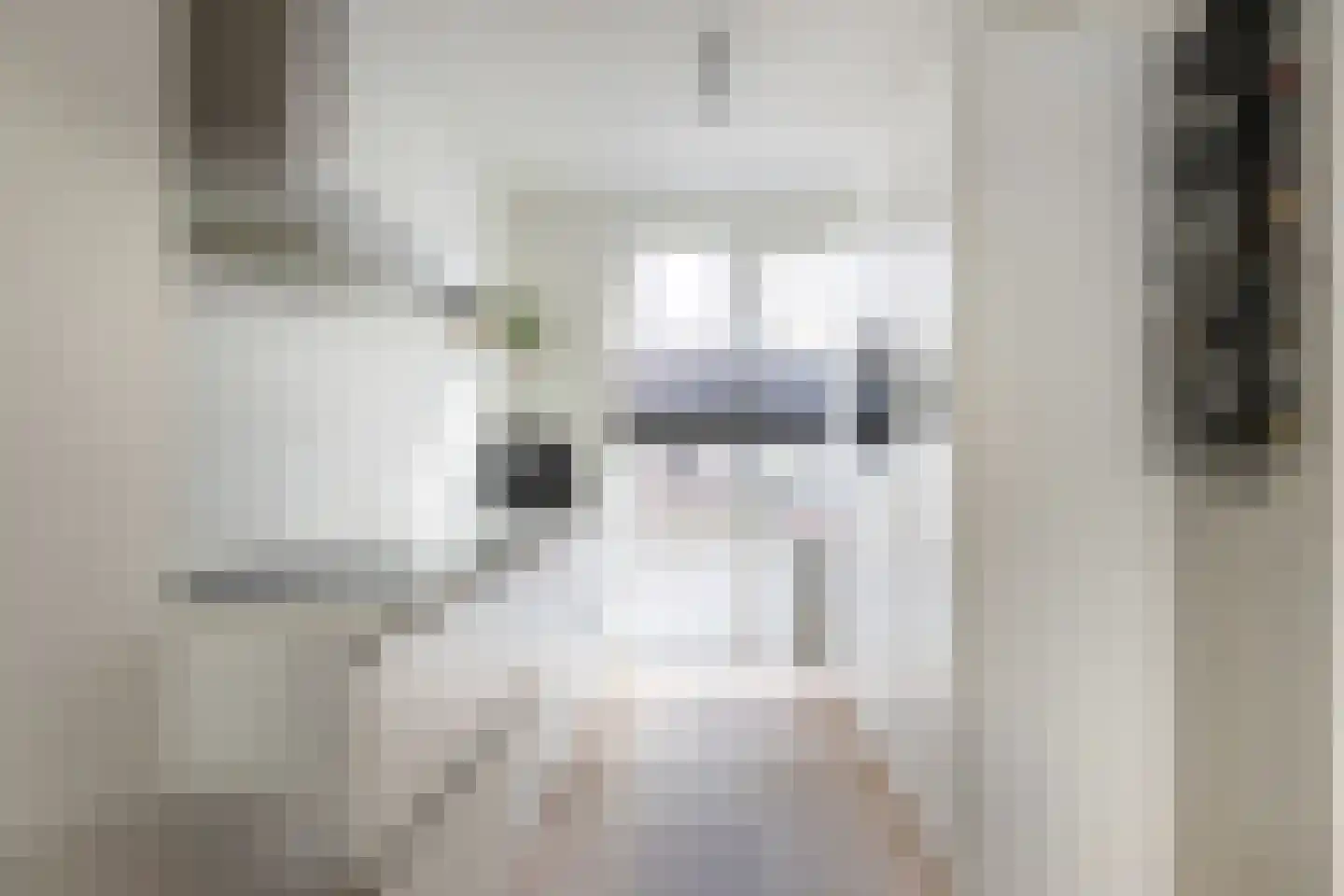 Anthoniedijk 34 Utrecht thumbnail 4