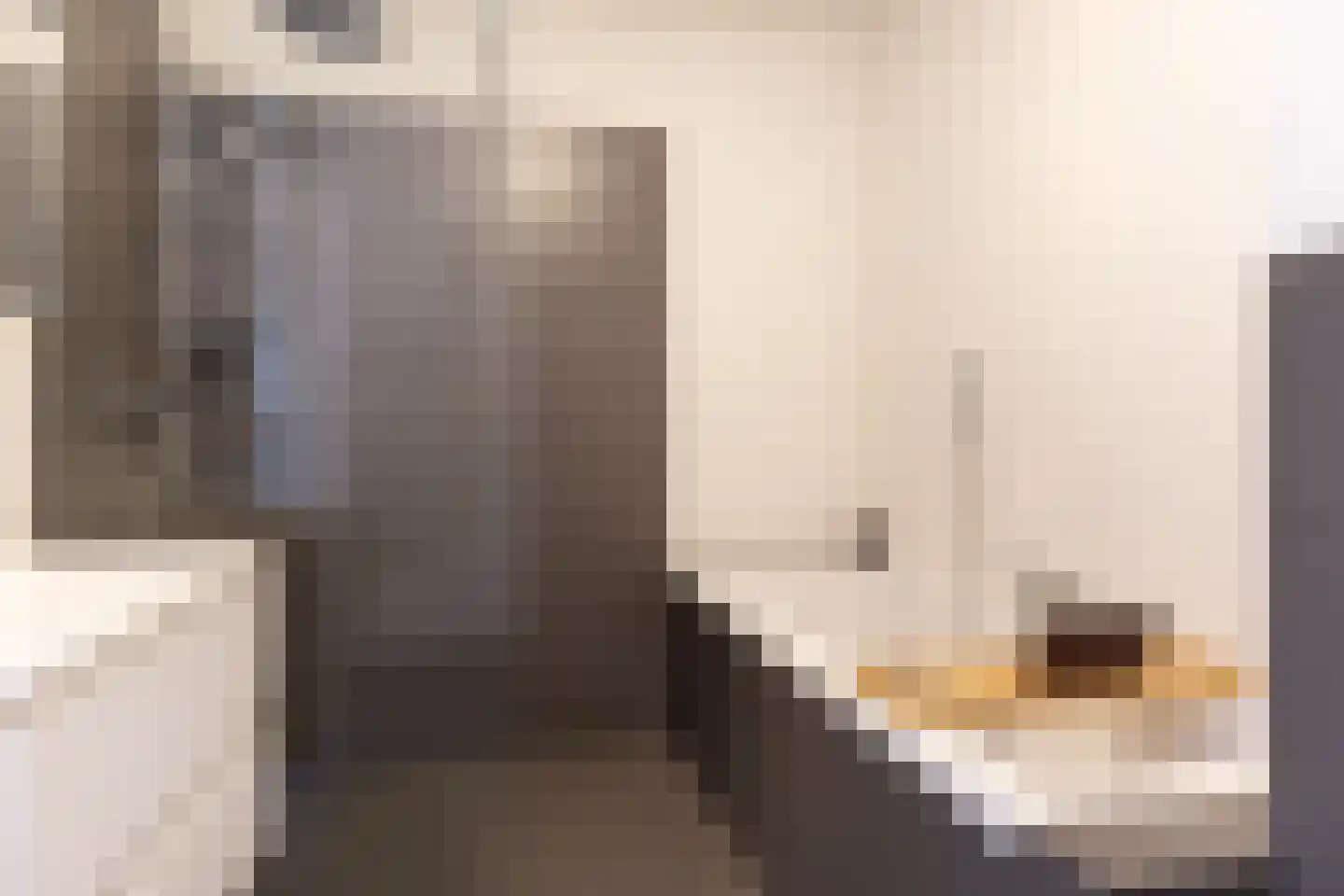 Anthoniedijk 34 Utrecht thumbnail 5