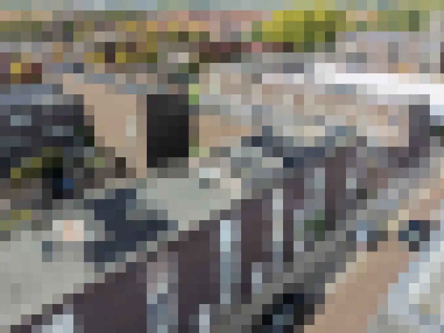Anthoniedijk 34 Utrecht thumbnail 57