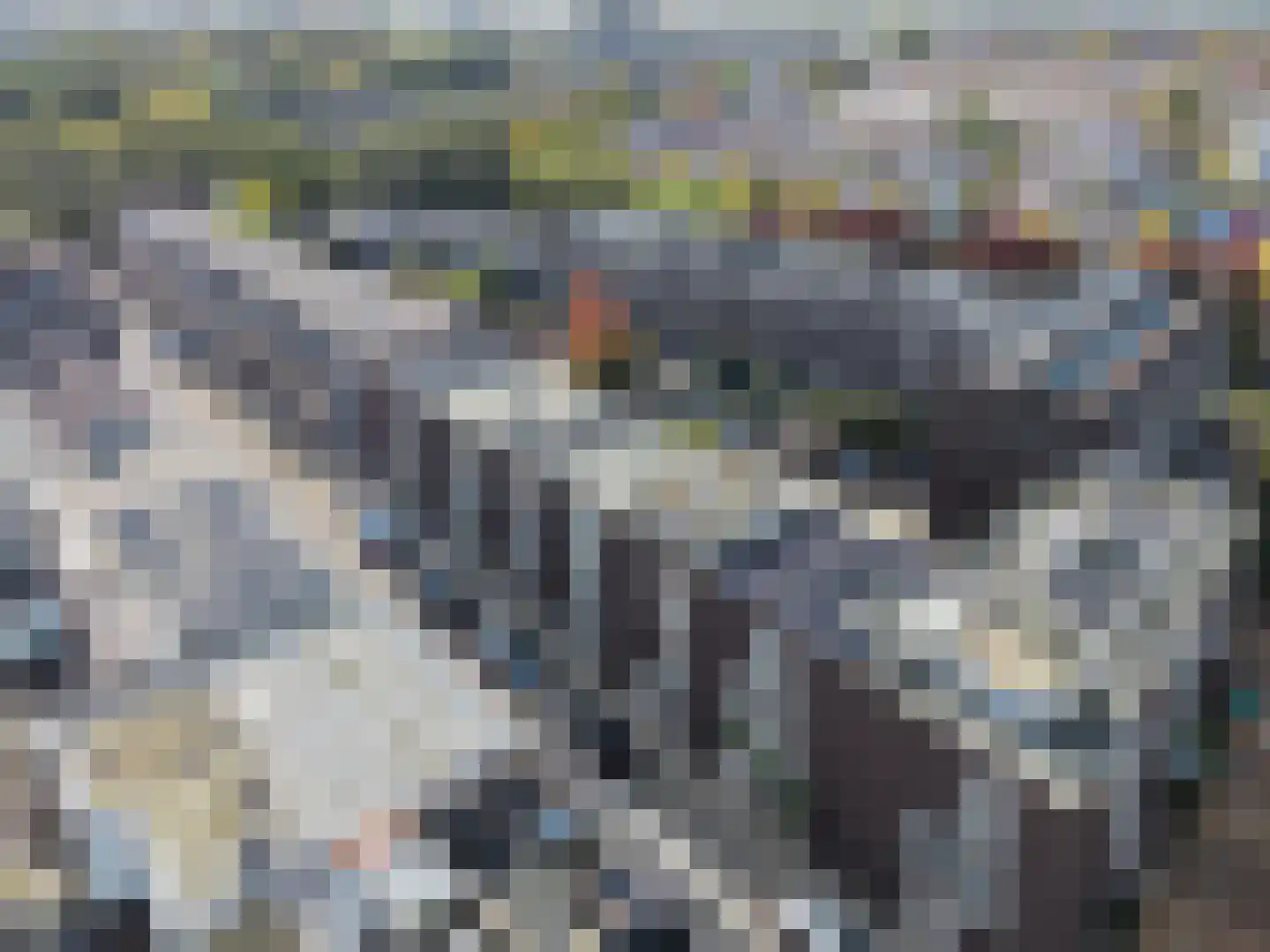 Anthoniedijk 34 Utrecht thumbnail 58