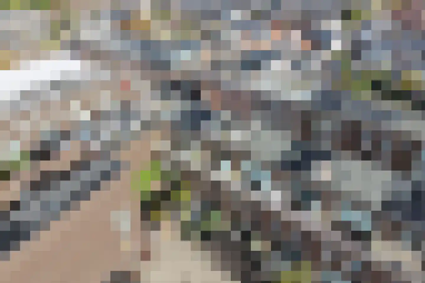 Anthoniedijk 34 Utrecht thumbnail 60