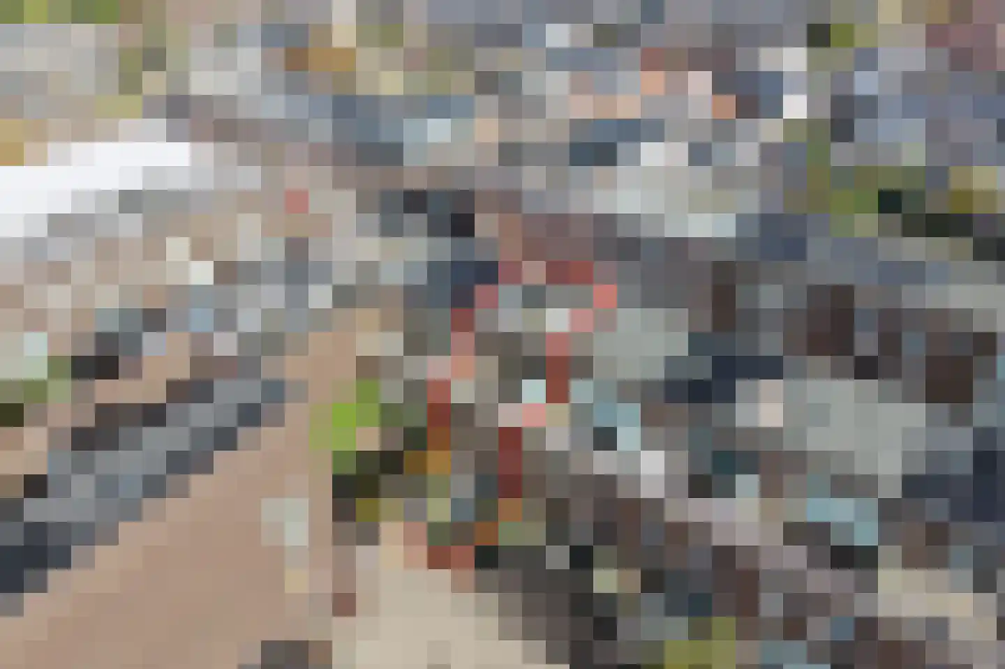 Anthoniedijk 34 Utrecht thumbnail 61