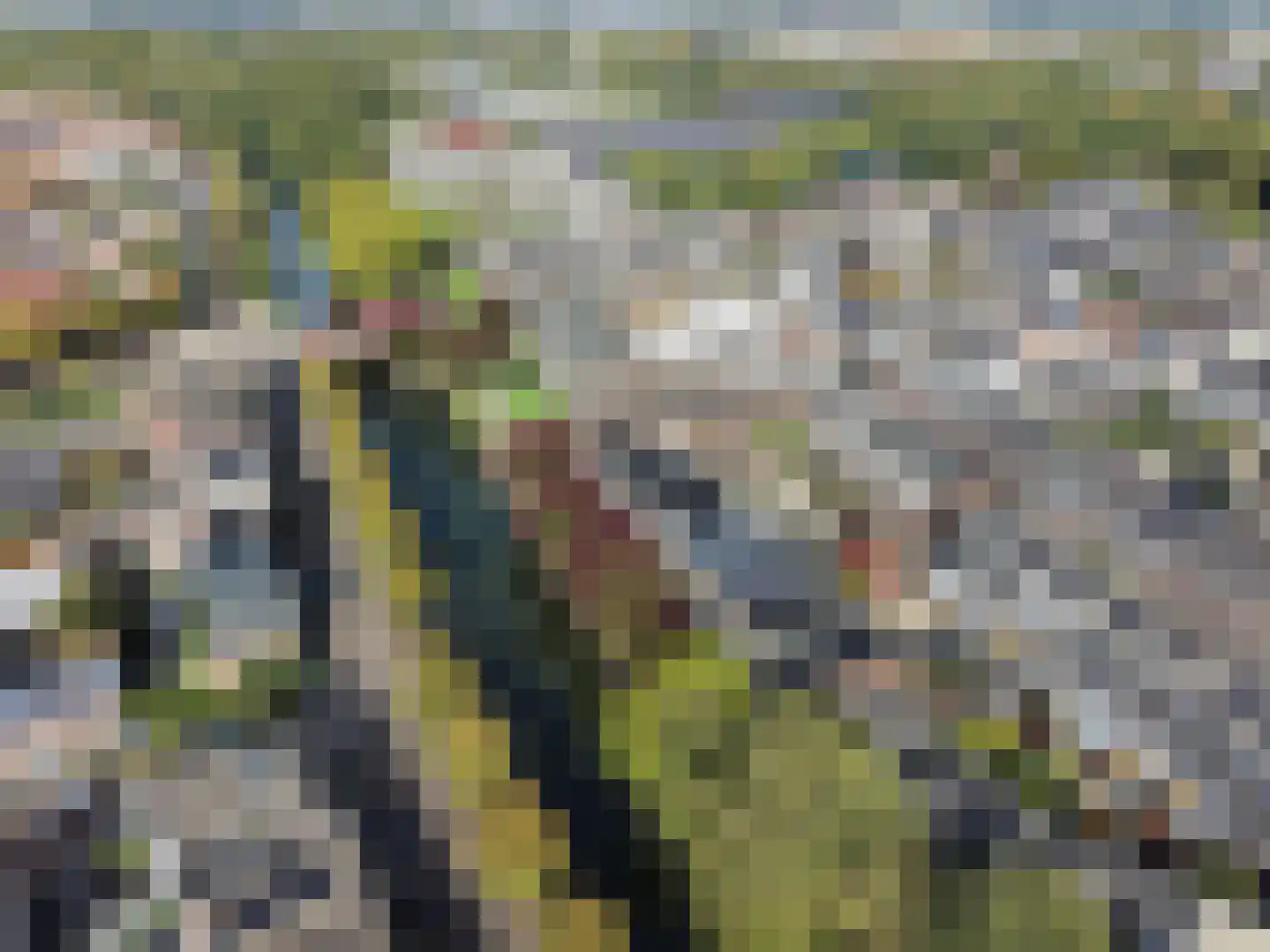 Anthoniedijk 34 Utrecht thumbnail 62
