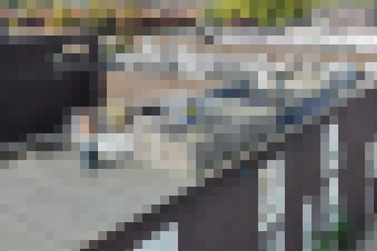 Anthoniedijk 34 Utrecht thumbnail 64