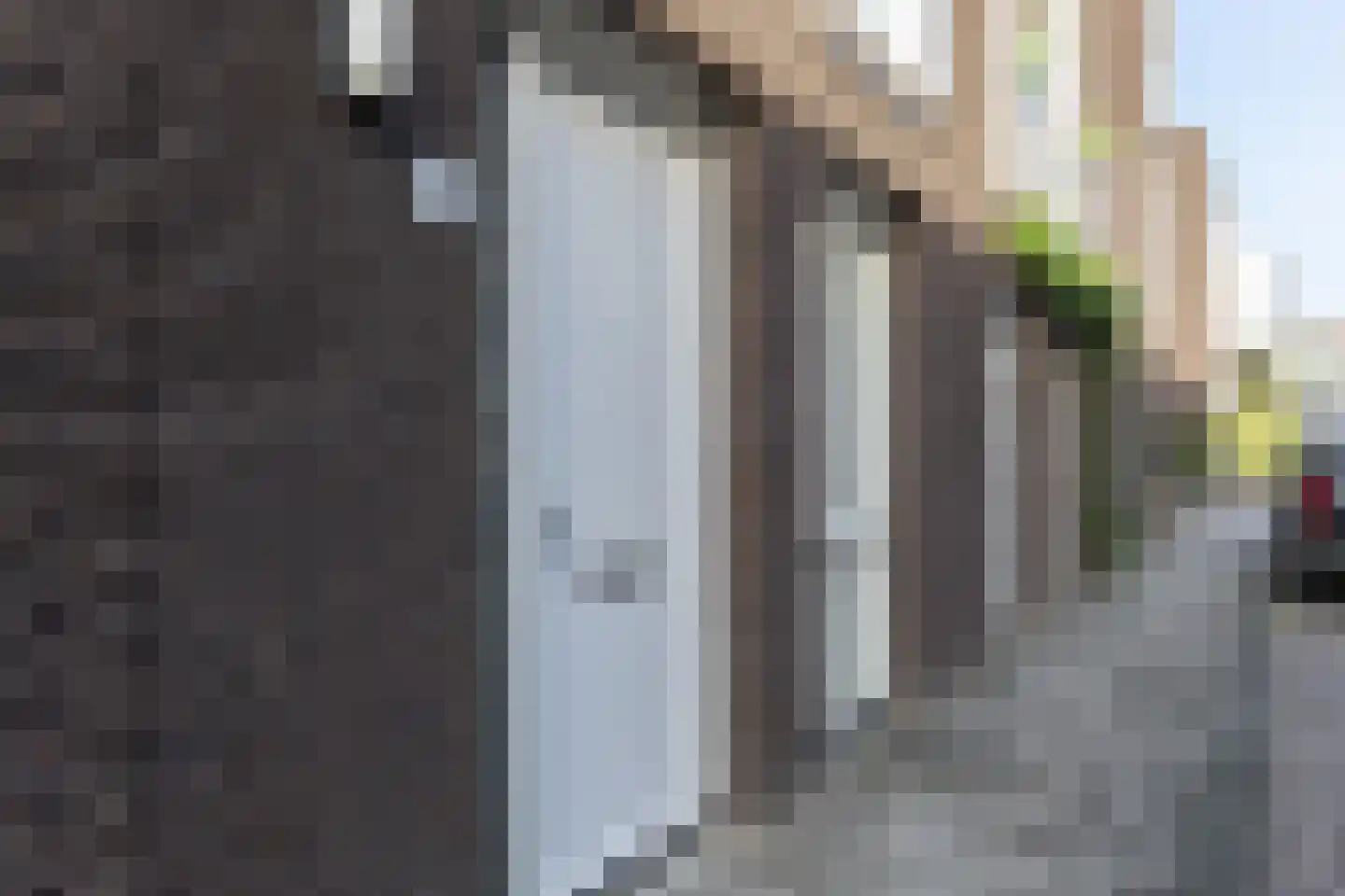 Anthoniedijk 34 Utrecht thumbnail 8