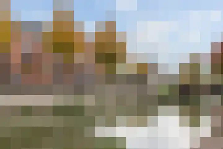 Anthoniedijk 37 B Utrecht thumbnail 15