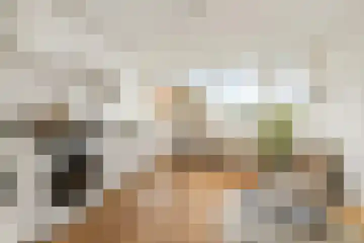 Anthoniedijk 37 B Utrecht thumbnail 4