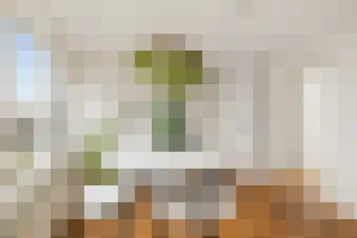 Anthoniedijk 37 B Utrecht thumbnail 5