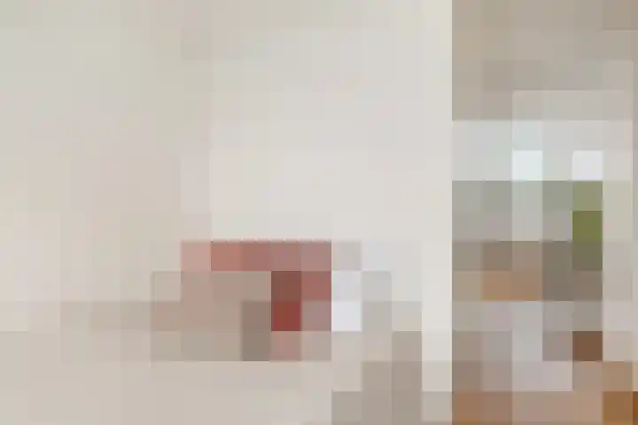 Anthoniedijk 37 B Utrecht thumbnail 8