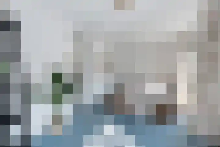 Anthoniedijk 6 Utrecht thumbnail 15
