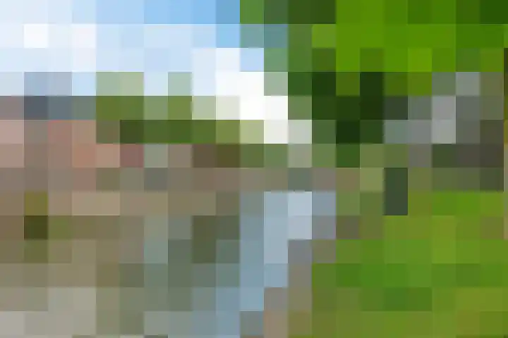 Anthoniedijk 6 Utrecht thumbnail 22