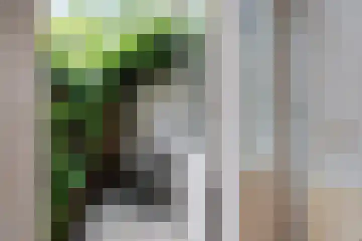 Anthoniedijk 6 Utrecht thumbnail 5